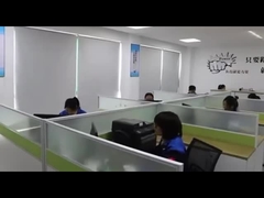 Introdução da empresa
